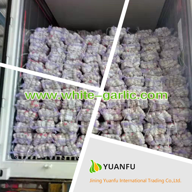 garlic sellers garlic sellers